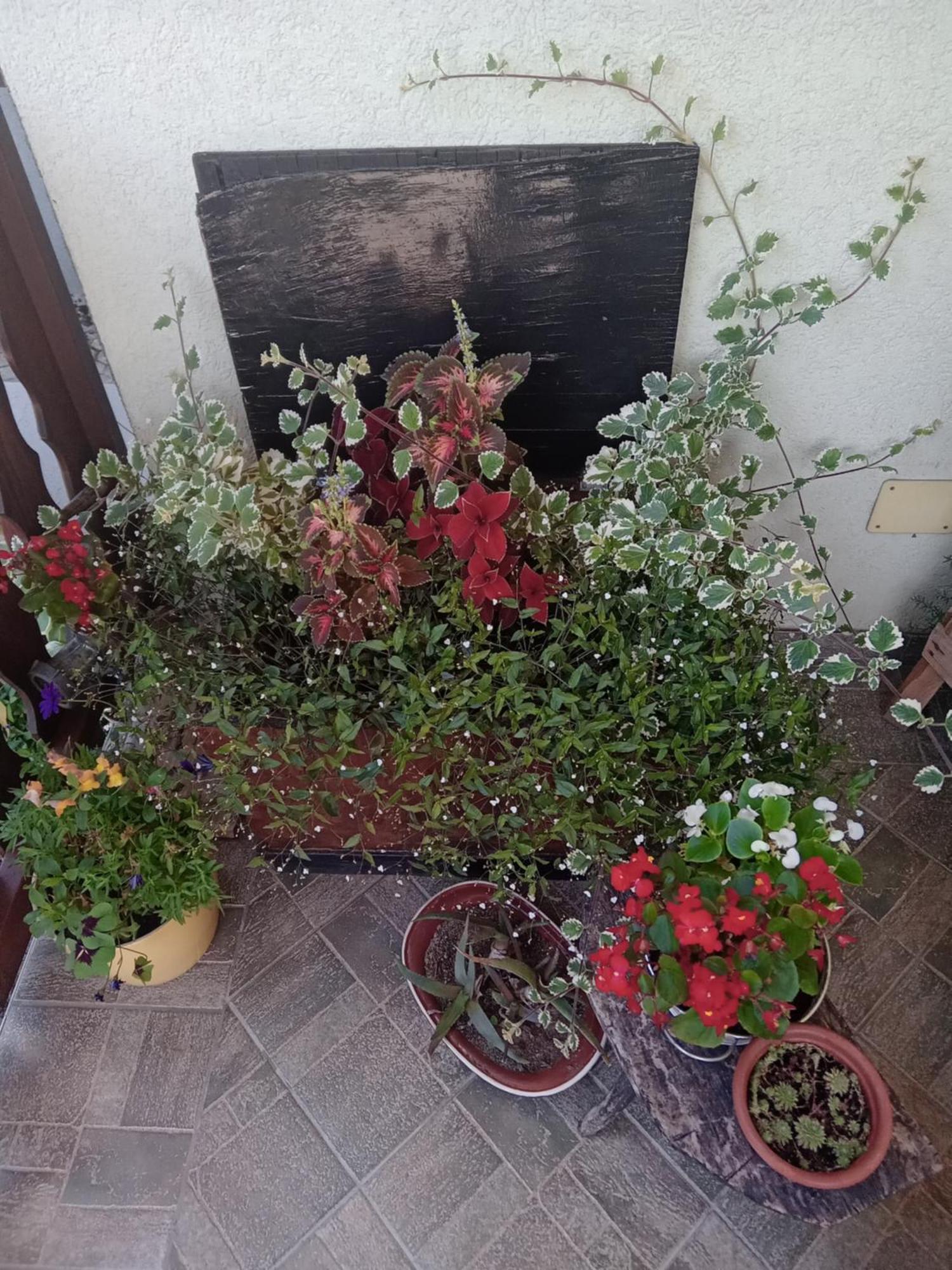 Apartman Bepo Gospić Exterior foto